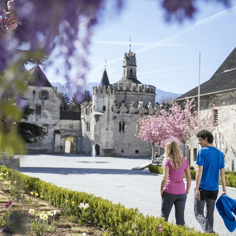 c-helmut-moling-18_46152058522_o